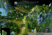 Might and Magic: Heroes VI