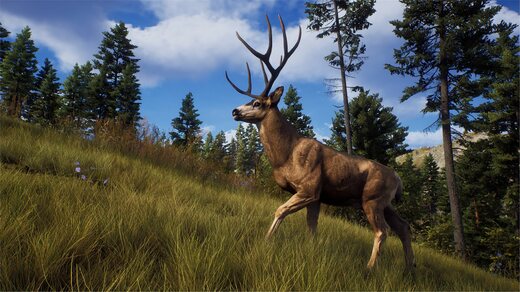 Way of the Hunter 05.jpeg